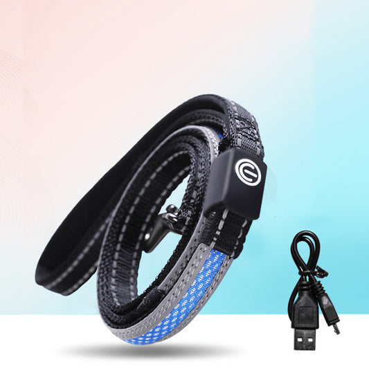 USB Rechargeable LED Dog Collar for Night Walks